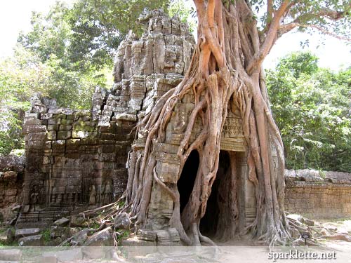 Ta Som, Cambodia