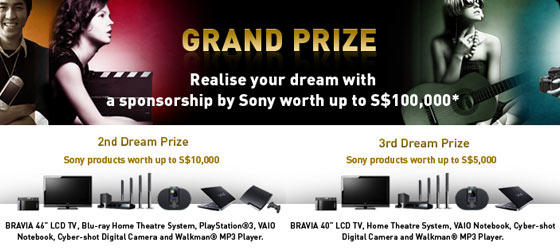 Sony notebooks, Sony LCD TVs, Sony home theatre systems, digital cameras, MP3 players and the PlayStation 3
