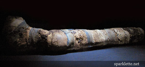 Cat mummy from Egypt