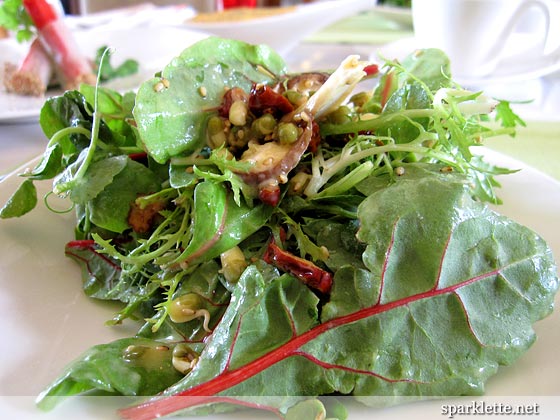 Salad with mung beans, Shiitake mushrooms, sesame seeds, snow peas and red dates