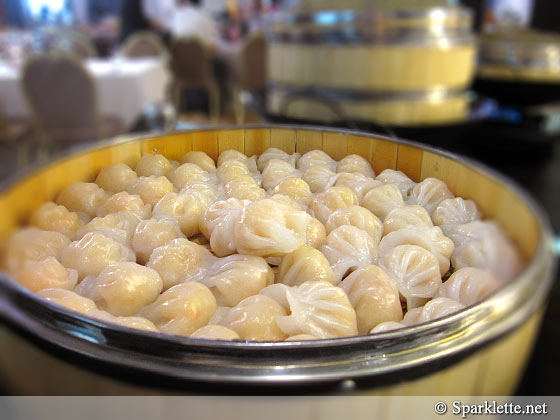 Chinese dumpling dim sum